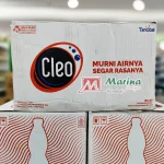 Cleo Air Mineral 550ml