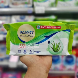 Paseo Anti Bacterial Wipes Gazette 50s