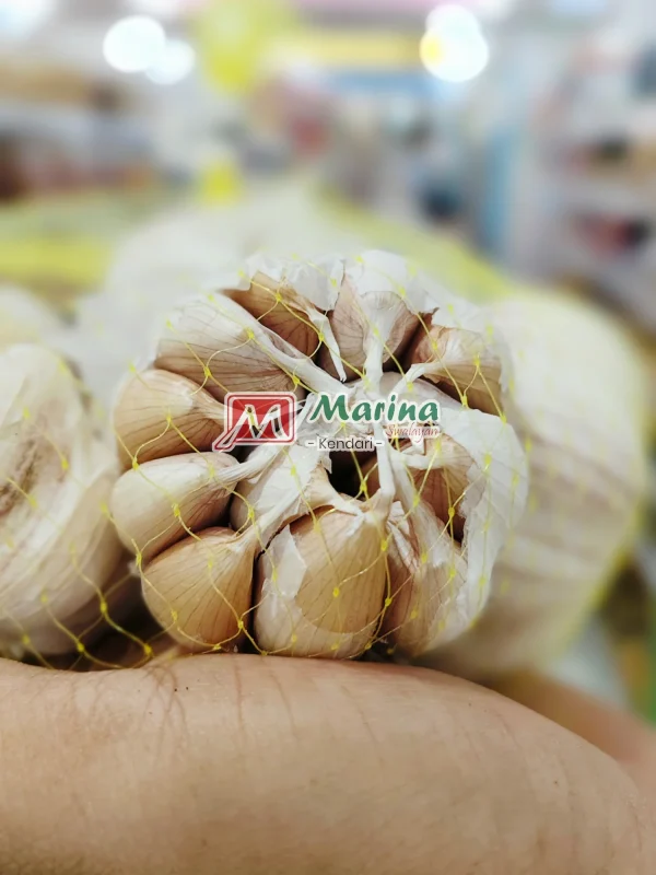 Bawang Putih 1/2kg_25-09-15_19-56-45-599 Bawang Putih Segar Marina Swalayan