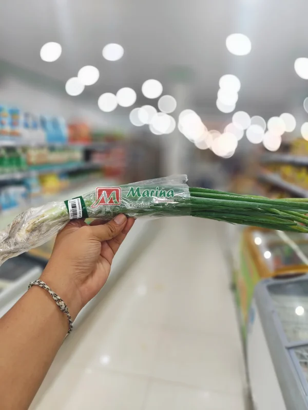 Daun Bawang Sayur