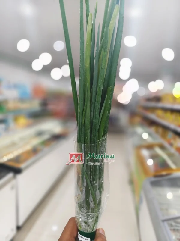 Daun Bawang Sayur1